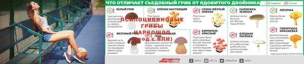 метадон Алексеевка