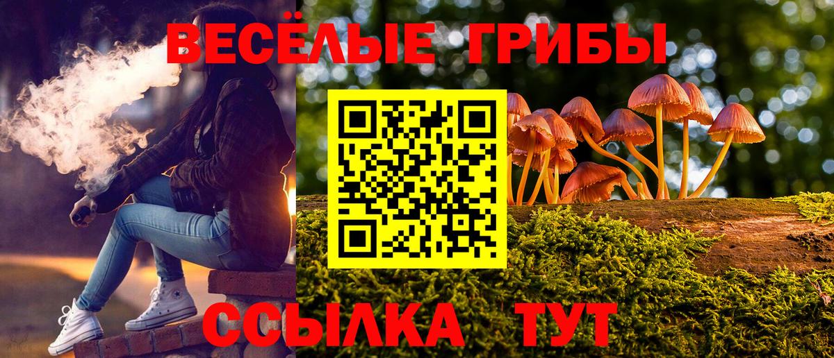 Люберцы  Галлюциногенные грибы Psilocybe  Вход с VPN  Псилоцибиновые грибы Psilocybe 